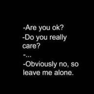 Meet your Posher, Larissamarie